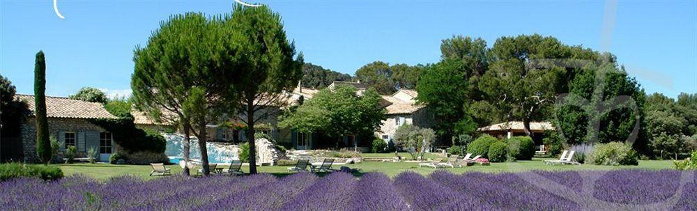 De La Rose - Teritoria Hotel